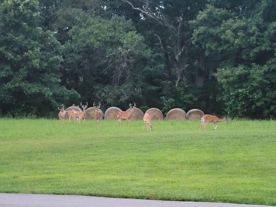 Отель Deer Run Estate Llc Marshfield Экстерьер фото