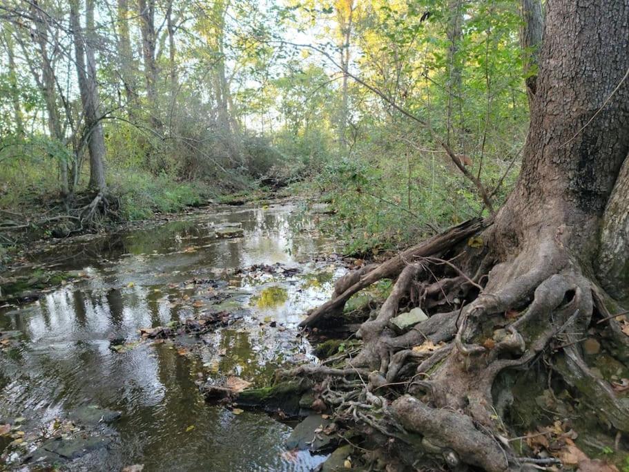 Отель Deer Run Estate Llc Marshfield Экстерьер фото