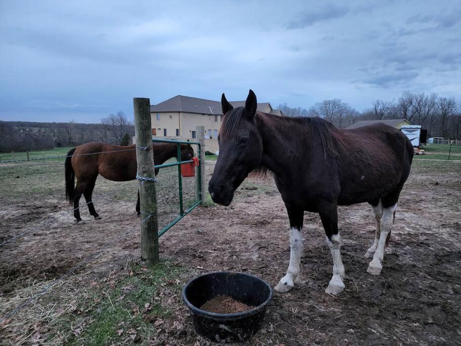 Отель Deer Run Estate Llc Marshfield Экстерьер фото
